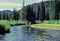 Fishing on the Madison River